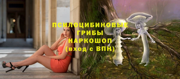 мет Аркадак