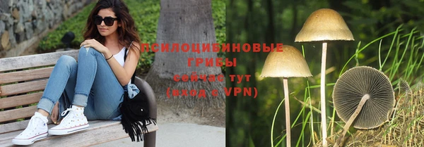 стафф Балахна